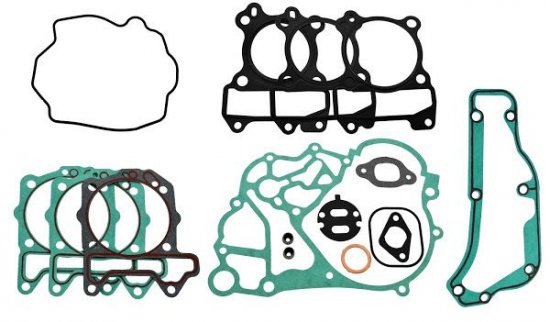 Tesnenie motora - sada RMS 100684210