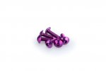 Skrutky PUIG 0543L ANODIZED fialová M5 x 15 mm (6 ks)