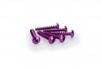 Skrutky PUIG 2543L ANODIZED fialová M6 x 30mm (6ks)