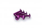 Skrutky PUIG 3995L ANODIZED fialová M6 x 30mm (6ks)